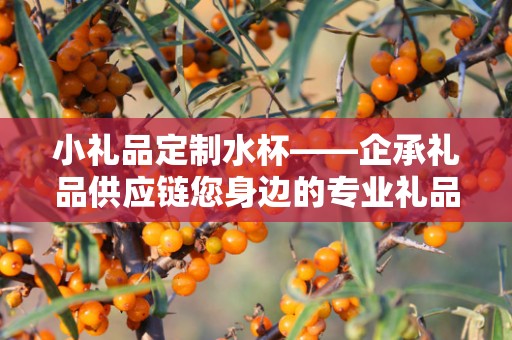 小礼品定制水杯——企承礼品供应链您身边的专业礼品定制公司
