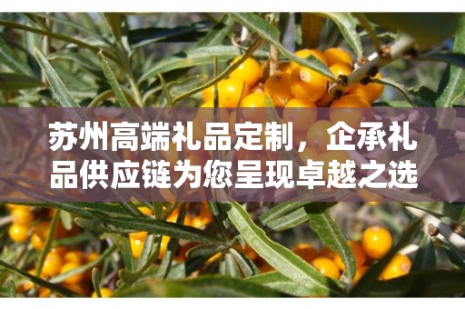 苏州高端礼品定制，企承礼品供应链为您呈现卓越之选