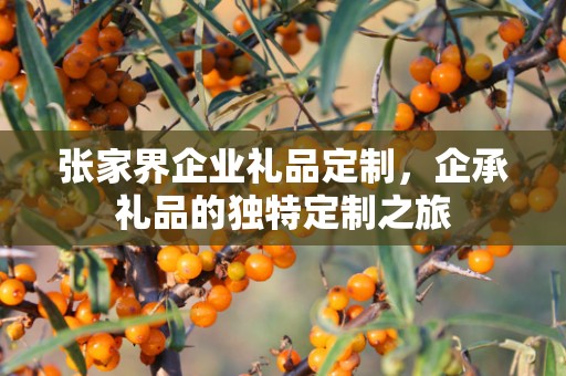 张家界企业礼品定制，企承礼品的独特定制之旅