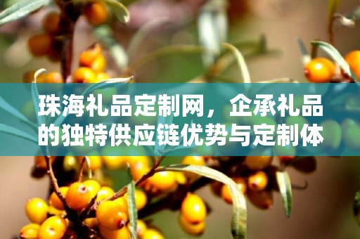 珠海礼品定制网，企承礼品的独特供应链优势与定制体验