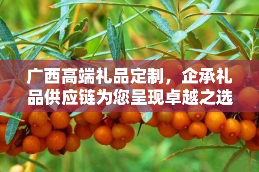 广西高端礼品定制，企承礼品供应链为您呈现卓越之选