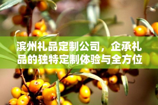 滨州礼品定制公司，企承礼品的独特定制体验与全方位服务