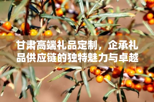 甘肃高端礼品定制，企承礼品供应链的独特魅力与卓越服务