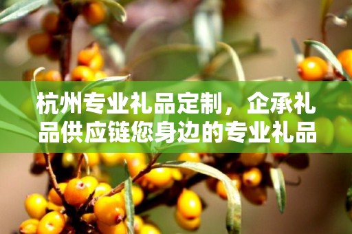 杭州专业礼品定制，企承礼品供应链您身边的专业礼品定制公司