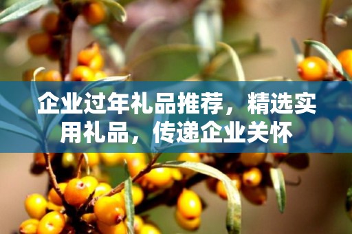 企业过年礼品推荐，精选实用礼品，传递企业关怀