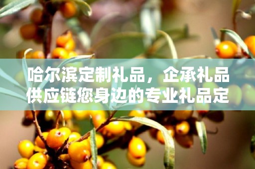 哈尔滨定制礼品，企承礼品供应链您身边的专业礼品定制公司