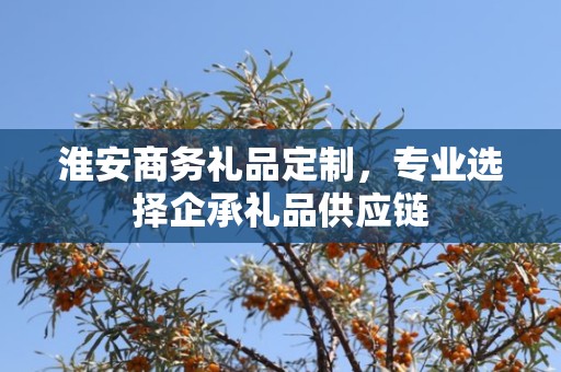 淮安商务礼品定制，专业选择企承礼品供应链