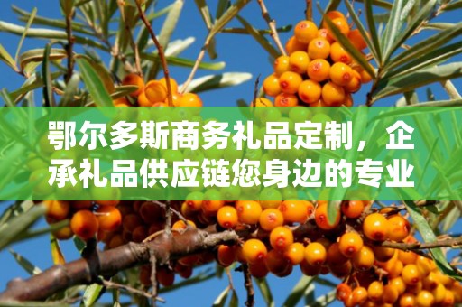 鄂尔多斯商务礼品定制，企承礼品供应链您身边的专业礼品定制公司