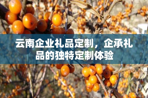云南企业礼品定制，企承礼品的独特定制体验