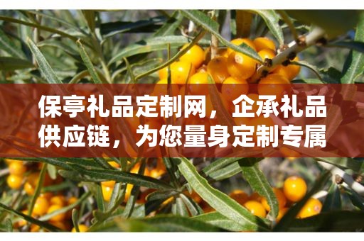 保亭礼品定制网，企承礼品供应链，为您量身定制专属礼品