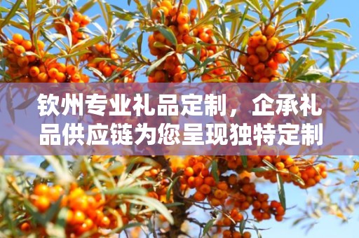 钦州专业礼品定制，企承礼品供应链为您呈现独特定制体验