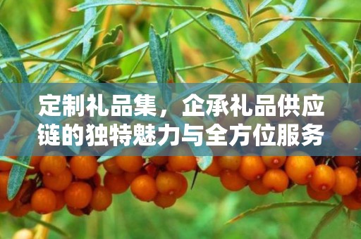 定制礼品集，企承礼品供应链的独特魅力与全方位服务