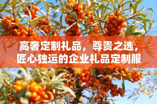 高奢定制礼品，尊贵之选，匠心独运的企业礼品定制服务