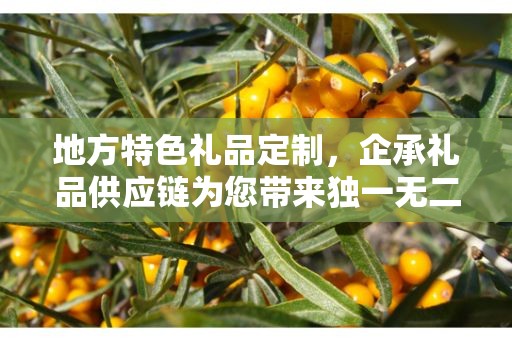 地方特色礼品定制，企承礼品供应链为您带来独一无二的定制体验