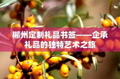 郴州定制礼品书签——企承礼品的独特艺术之旅